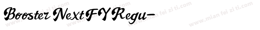 Booster Next FY Regu字体转换